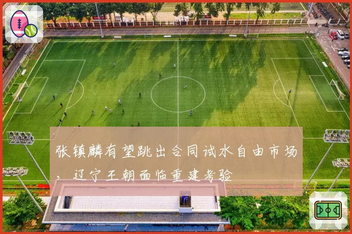 张镇麟有望跳出合同试水自由市场,辽宁王朝面临重建考验
