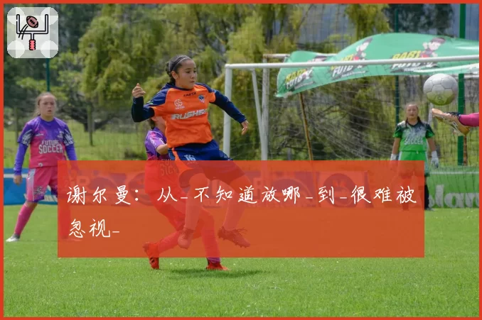 谢尔曼:从_不知道放哪_到_很难被忽视_