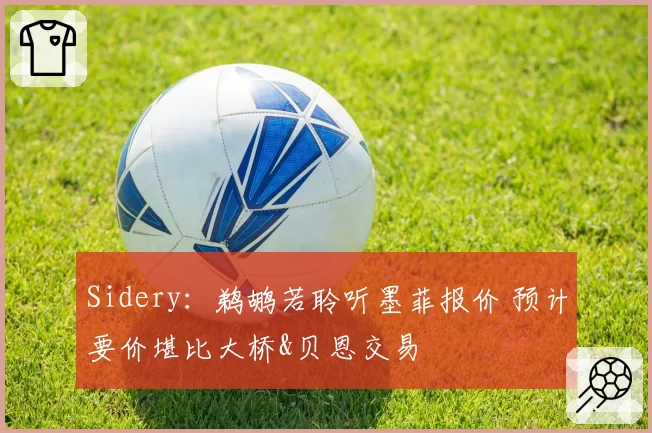 Sidery：鹈鹕若聆听墨菲报价 预计要价堪比大桥&贝恩交易